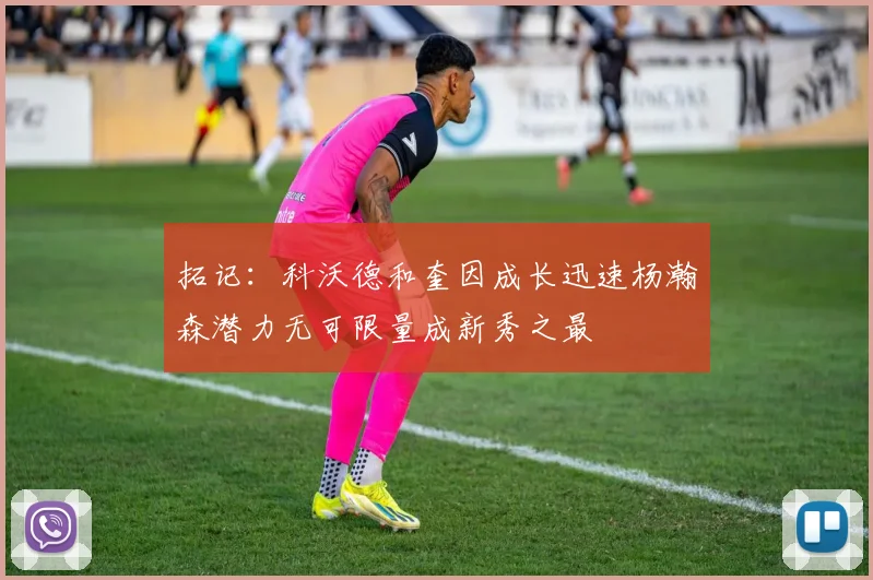 拓记：科沃德和奎因成长迅速杨瀚森潜力无可限量成新秀之最