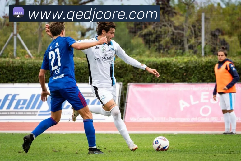 企鹅电竞平台生态图